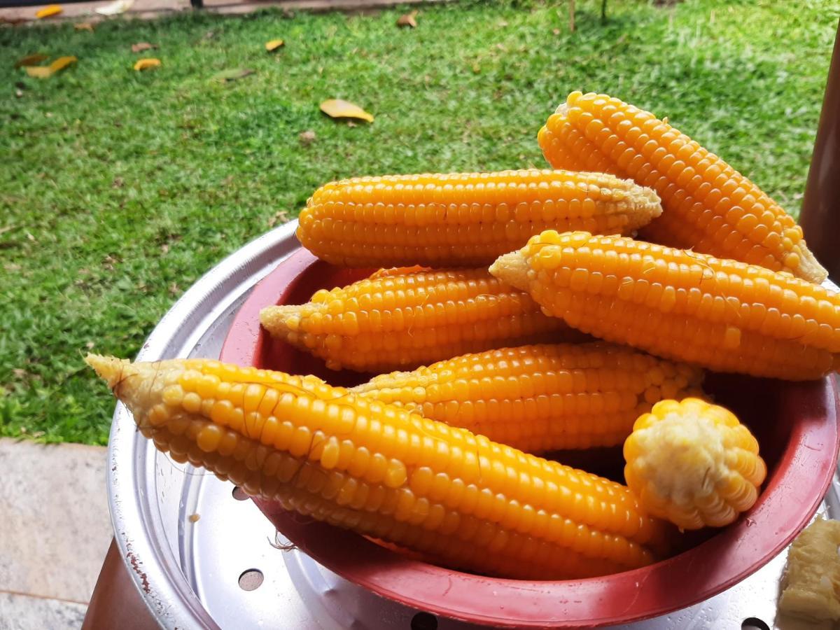 Appartamento Mangohut Joy Anuradhapura Esterno foto